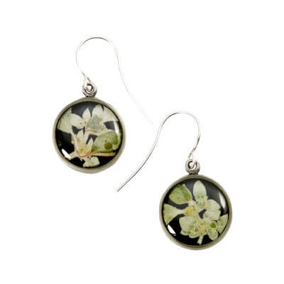 Shari Dixon Silver Leaf Flower Earrings