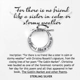 There Is No Friend Like A Sister Mobius Necklace On Card
